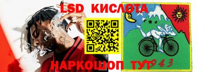 крисы Рязань
