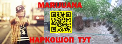 крисы Рязань