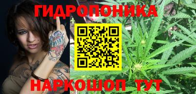 крисы Рязань