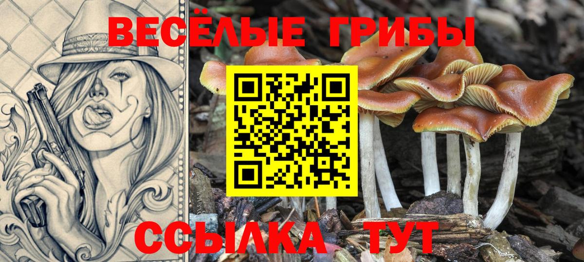 Серов  Псилоцибиновые грибы мухоморы  Вход с VPN 